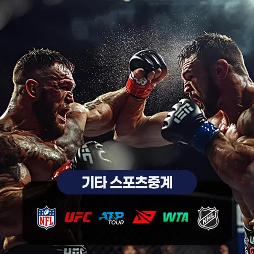기타 스포츠중계
