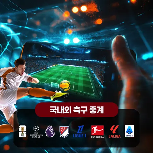 축구중계 국내외 축구중계